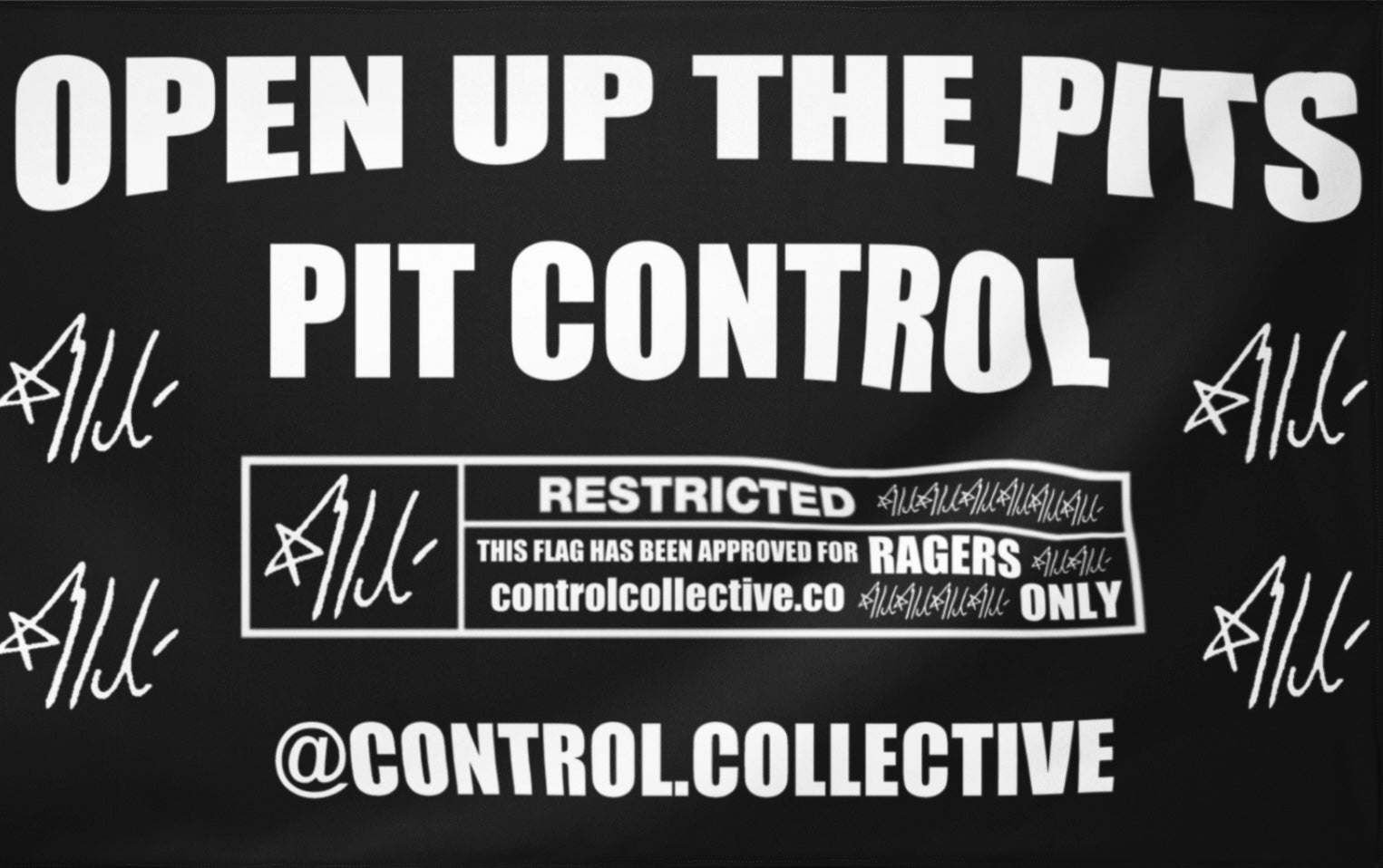 CC PIT CONTROL FLAG